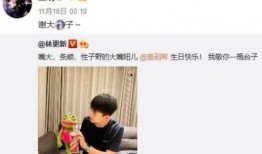 林狗最新新恋情爆料,神秘美女引网友热议